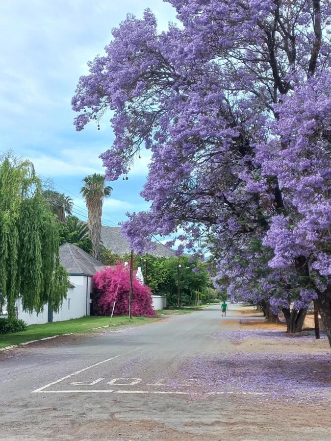 Prince Albert Cottage Bagian luar foto